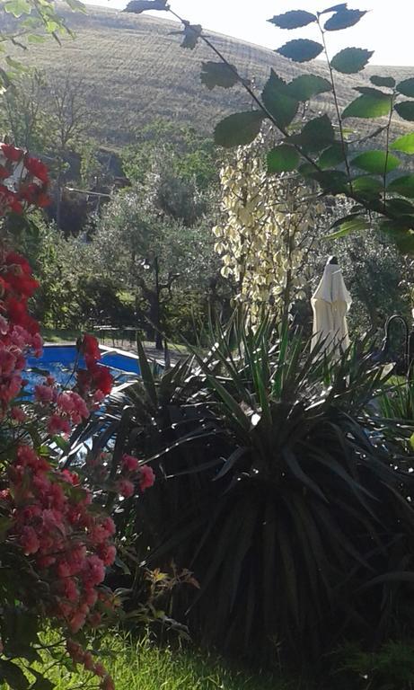 Willa Agriturismo La Solagna Montebello di Bertona Zewnętrze zdjęcie