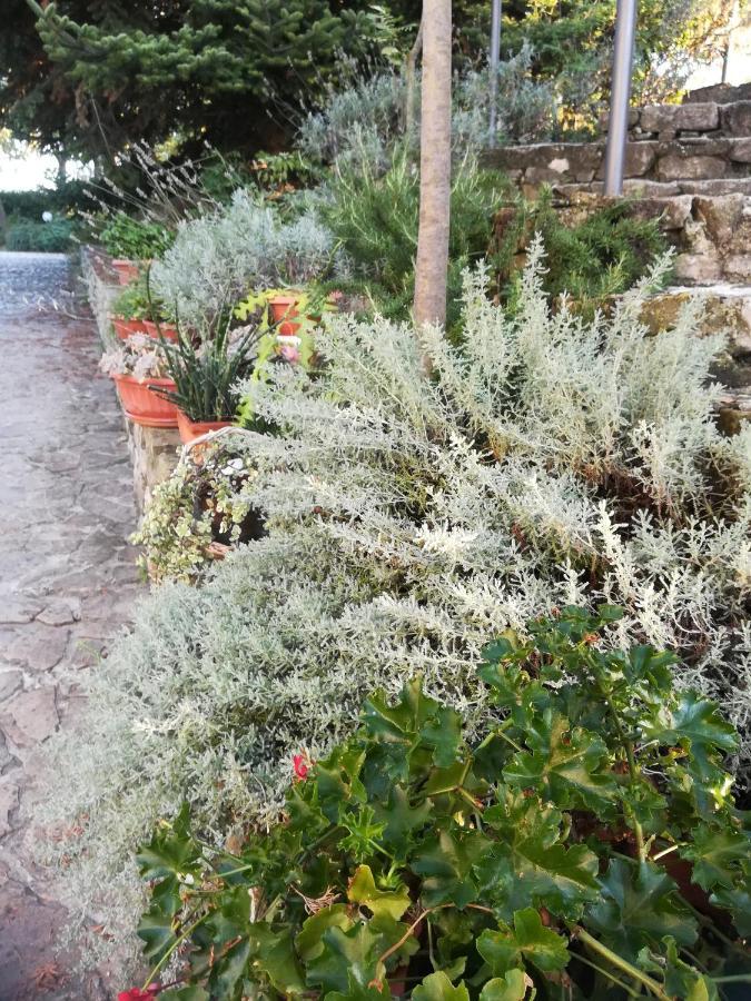 Willa Agriturismo La Solagna Montebello di Bertona Zewnętrze zdjęcie